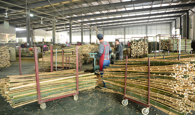 Shenzhen Magic Bamboo Industrial Co., Ltd. γραμμή παραγωγής του κατασκευαστή