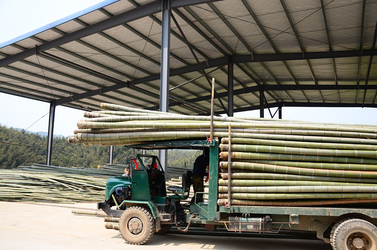 Shenzhen Magic Bamboo Industrial Co., Ltd. γραμμή παραγωγής του κατασκευαστή